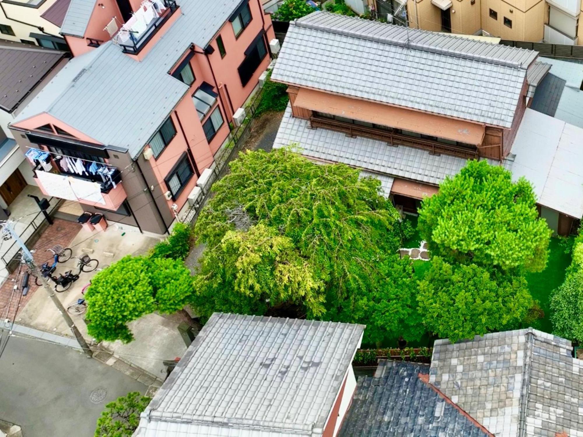 Family Or Business Travel 20 Percent Off丨200 Sqm 丨 14 Min To Shinjuku 丨century-Old Japanese Garden 丨3 Parking Spaces丨4 Bedrooms Tokyo Luaran gambar